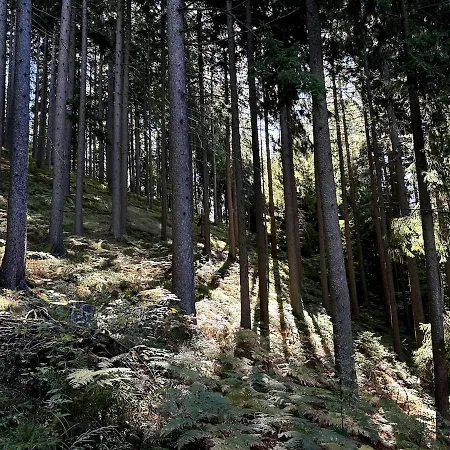 Lägenhet The House At The Larssen Smartno pri Slovenj Gradcu