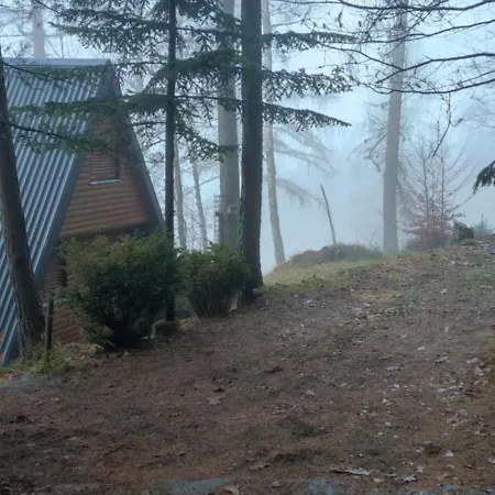 The House At The Larssen