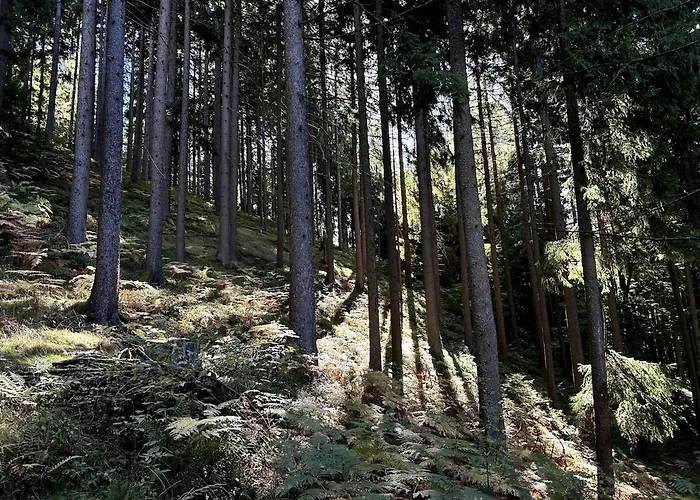 Apartment The House At The Larssen Smartno pri Slovenj Gradcu