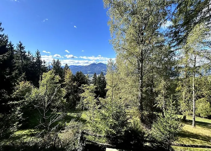 The House At The Larssen