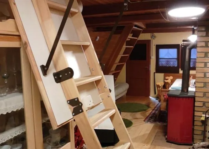 The House At The Larssen *