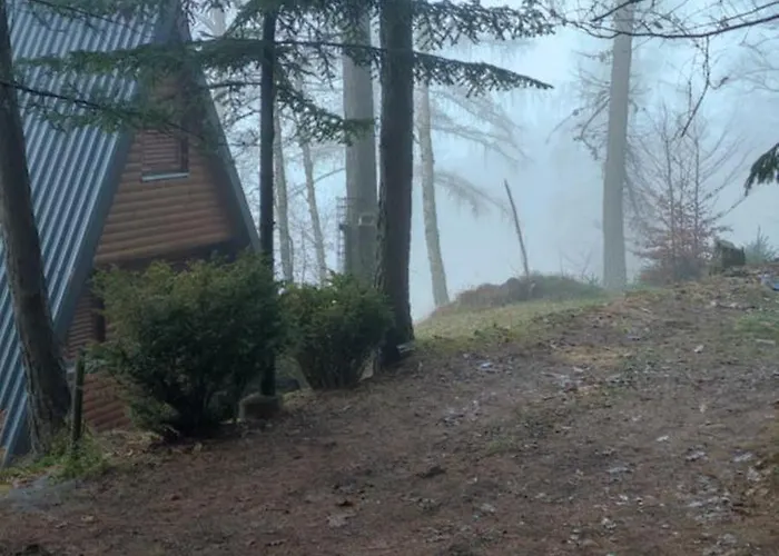 The House At The Larssen